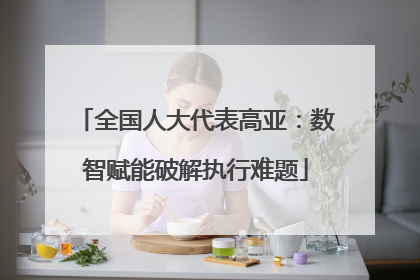全国人大代表高亚：数智赋能破解执行难题