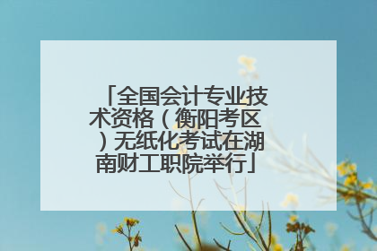 全国会计专业技术资格（衡阳考区）无纸化考试在湖南财工职院举行