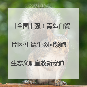 全国十强！青岛自贸片区·中德生态园领跑生态文明宣教新赛道