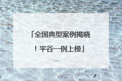全国典型案例揭晓！平谷一例上榜
