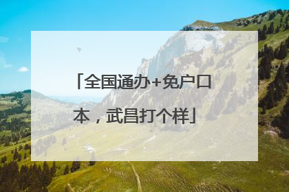 全国通办+免户口本，武昌打个样