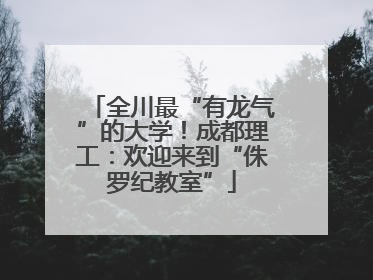 全川最“有龙气”的大学！成都理工：欢迎来到“侏罗纪教室”