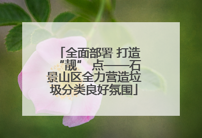 全面部署 打造“靓” 点——石景山区全力营造垃圾分类良好氛围