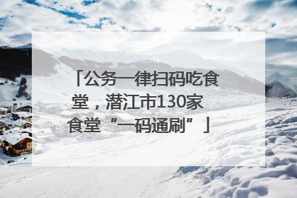 公务一律扫码吃食堂，潜江市130家食堂“一码通刷”