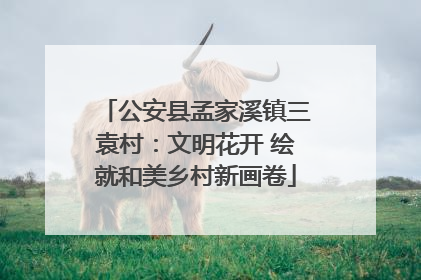 公安县孟家溪镇三袁村：文明花开 绘就和美乡村新画卷