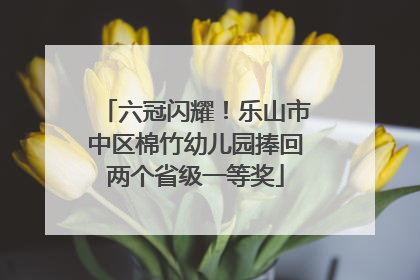 六冠闪耀！乐山市中区棉竹幼儿园捧回两个省级一等奖