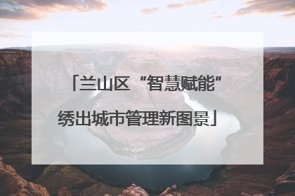 兰山区“智慧赋能”绣出城市管理新图景