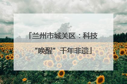 兰州市城关区：科技“唤醒”千年非遗