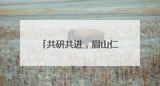 共研共进，眉山仁寿城北小学共同体赋能教育新征程