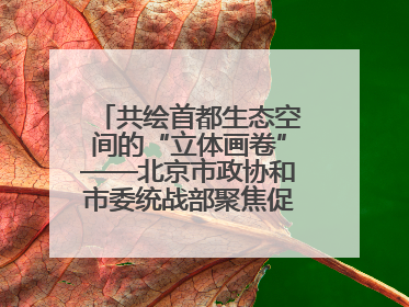 共绘首都生态空间的“立体画卷”——北京市政协和市委统战部聚焦促进绿化彩化美化生态空间建设联合协商议政