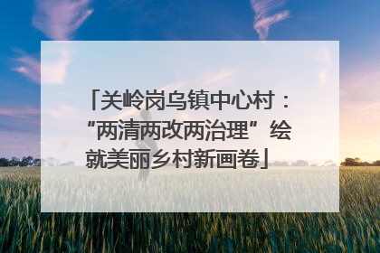 关岭岗乌镇中心村：“两清两改两治理”绘就美丽乡村新画卷