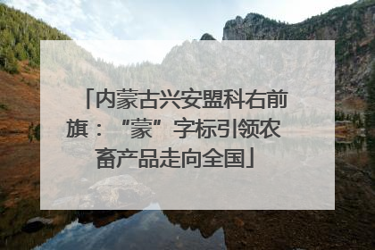 内蒙古兴安盟科右前旗：“蒙”字标引领农畜产品走向全国