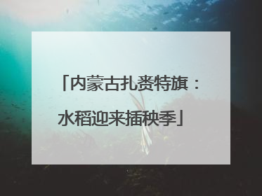 内蒙古扎赉特旗：水稻迎来插秧季