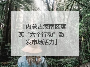 内蒙古海南区落实“六个行动”激发市场活力
