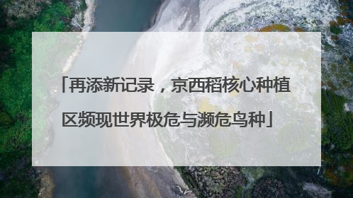 再添新记录，京西稻核心种植区频现世界极危与濒危鸟种