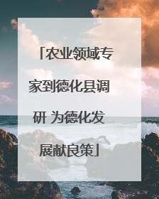 农业领域专家到德化县调研 为德化发展献良策