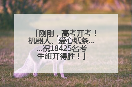 刚刚，高考开考！机器人、爱心纸条……祝18425名考生旗开得胜！