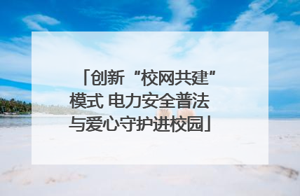 创新“校网共建”模式 电力安全普法与爱心守护进校园