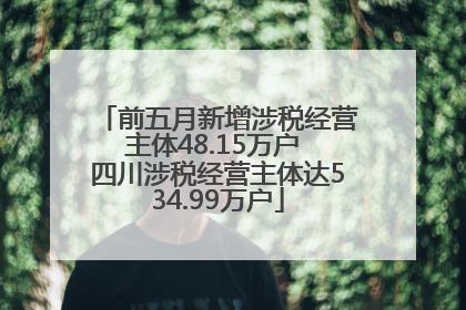 前五月新增涉税经营主体48.15万户 四川涉税经营主体达534.99万户