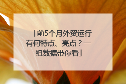 前5个月外贸运行有何特点、亮点？一组数据带你看