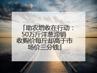 助农增收在行动：50万斤洋葱滞销 收购价每斤却高于市场价三分钱