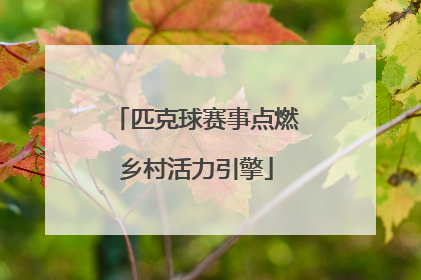 匹克球赛事点燃乡村活力引擎
