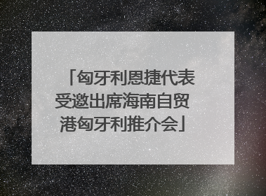 匈牙利恩捷代表受邀出席海南自贸港匈牙利推介会