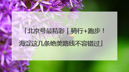 北京号最精彩｜骑行+跑步！海淀这几条绝美路线不容错过