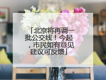 北京将再调一批公交线！今起，市民如有意见建议可反馈