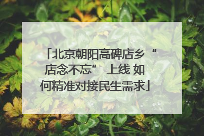 北京朝阳高碑店乡“店念不忘” 上线 如何精准对接民生需求