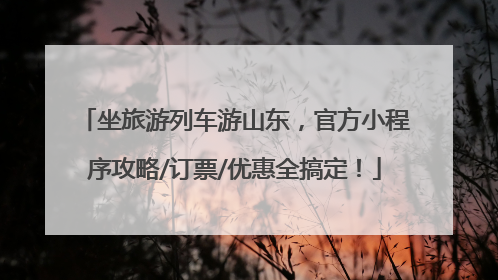 坐旅游列车游山东，官方小程序攻略/订票/优惠全搞定！