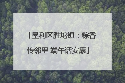垦利区胜坨镇：粽香传邻里 端午话安康
