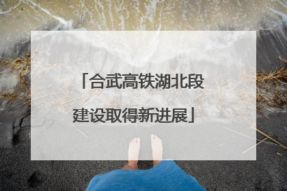 合武高铁湖北段建设取得新进展