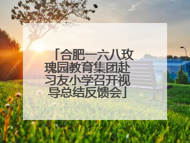 合肥一六八玫瑰园教育集团赴习友小学召开视导总结反馈会