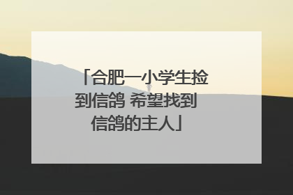 合肥一小学生捡到信鸽 希望找到信鸽的主人