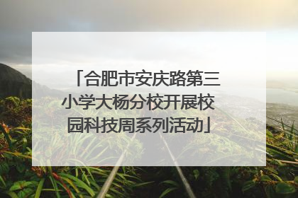 合肥市安庆路第三小学大杨分校开展校园科技周系列活动