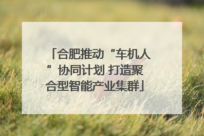 合肥推动“车机人”协同计划 打造聚合型智能产业集群