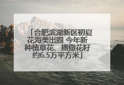 合肥滨湖新区初夏花海美出圈 今年新种植草花、播撒花籽约6.5万平方米
