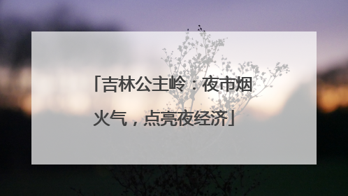 吉林公主岭：夜市烟火气，点亮夜经济