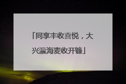 同享丰收喜悦，大兴瀛海麦收开镰