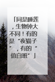 同是睡莲，生物钟大不同！有的是“夜猫子”，有的“值白班”