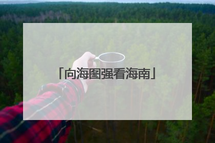 向海图强看海南