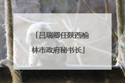 吕瑞卿任陕西榆林市政府秘书长