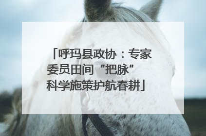 呼玛县政协：专家委员田间“把脉” 科学施策护航春耕