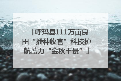 呼玛县111万亩良田“播种收官”科技护航蓄力“金秋丰景”