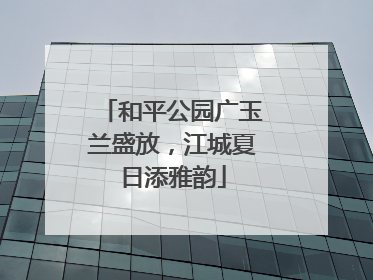 和平公园广玉兰盛放，江城夏日添雅韵