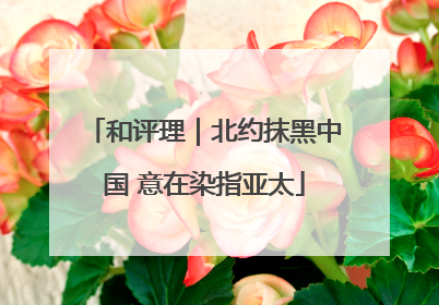 和评理｜北约抹黑中国 意在染指亚太