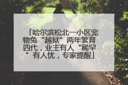 哈尔滨松北一小区宠物兔“越狱”两年繁育四代，业主有人“稀罕”有人忧，专家提醒
