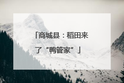 商城县：稻田来了“鸭管家”