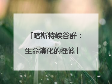 喀斯特峡谷群：生命演化的摇篮